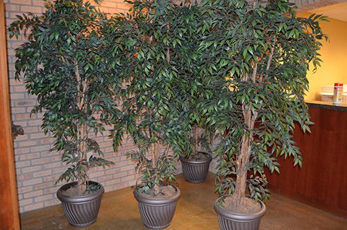 Property photo 37 - Complete Liquidation Sale! - Dekalb Distributing Auction